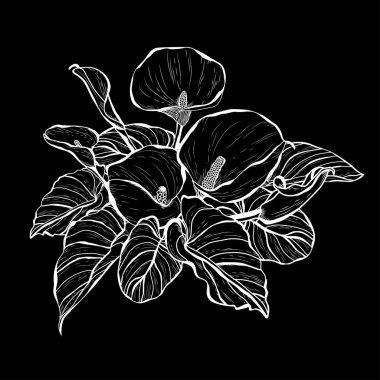 Elle çizilmiş çiçek dekorasyon