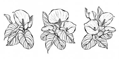 Elle çizilmiş çiçek dekorasyon