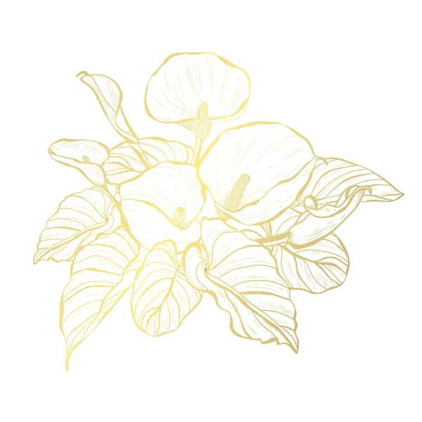 Bouquet de calla doré — Image vectorielle