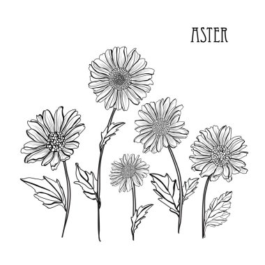 Elle çizilmiş çiçek dekorasyon