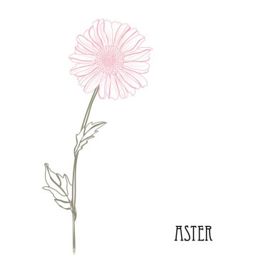 Elle çizilmiş çiçek dekorasyon