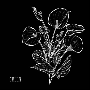 Elle çizilmiş çiçek dekorasyon