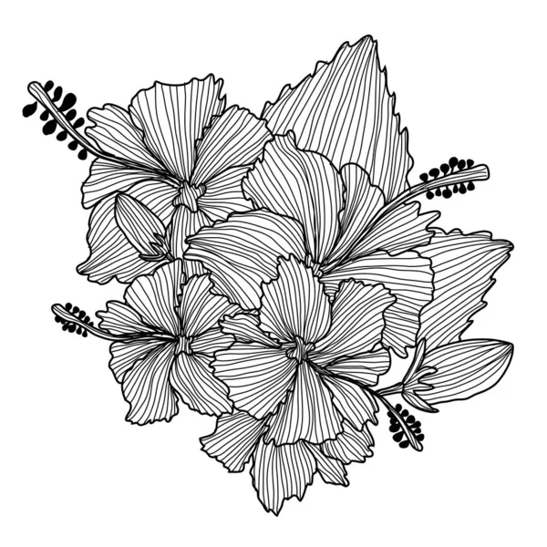 Decoratiuni florale trase manual — Vector de stoc
