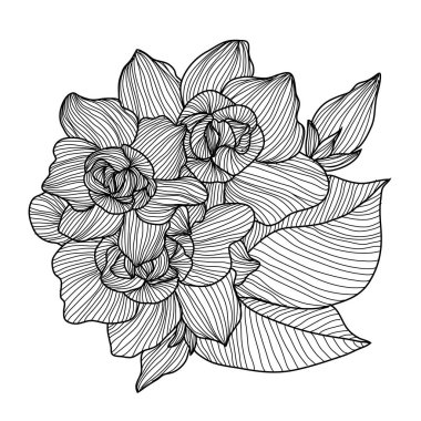 Elle çizilmiş çiçek dekorasyon