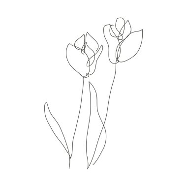 Dekoratif el çizimi lale çiçekleri, tasarım elementleri. Kartlar, davetiyeler, afişler, posterler, baskı tasarımı için kullanılabilir. Aralıksız çizgi sanatı