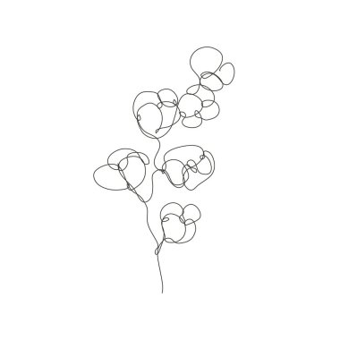 Dekoratif el yapımı pamuk dalı, tasarım elementi. Kartlar, davetiyeler, afişler, posterler, baskı tasarımı için kullanılabilir. Aralıksız çizgi sanatı