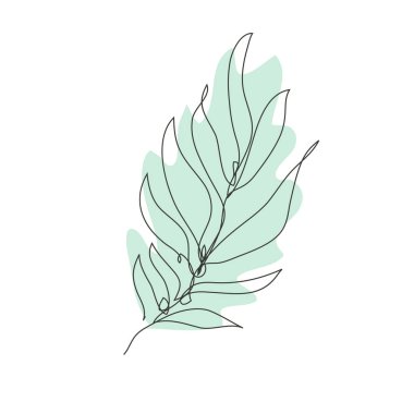 Dekoratif el yapımı palmiye yaprağı, tasarım elementi. Kartlar, davetiyeler, afişler, posterler, baskı tasarımı için kullanılabilir. Aralıksız çizgi sanatı