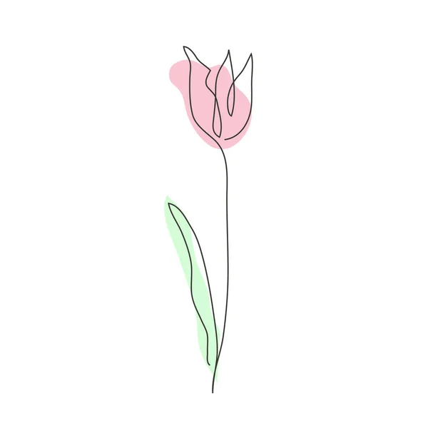 Mão Decorativa Flor Tulipa Desenhada Elemento Design Pode Ser Usado — Vetor de Stock