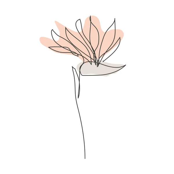Fleur Strelitzia Décorative Dessinée Main Élément Design Peut Être Utilisé — Image vectorielle