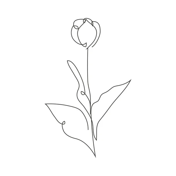 Durchgehende Linie Dekorative Handgezeichnete Tulpenblume Design Element Einsetzbar Für Karten — Stockvektor