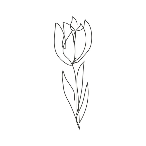 Continu Lijn Decoratieve Hand Getrokken Tulp Bloem Design Element Kan — Stockvector