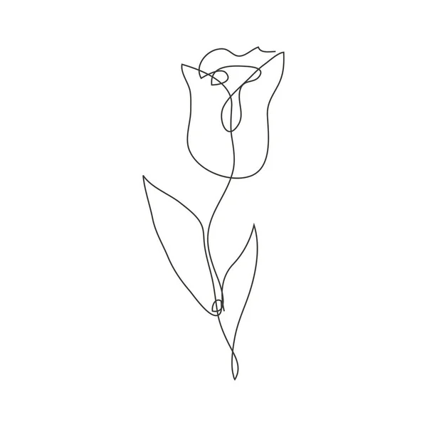Linha Contínua Decorativa Mão Desenhada Flor Tulipa Elemento Design Pode — Vetor de Stock
