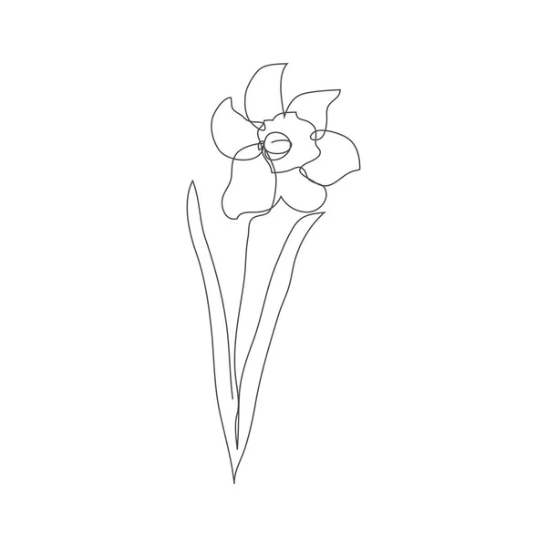 Continu Lijn Decoratieve Hand Getekend Narcis Bloem Design Element Kan — Stockvector