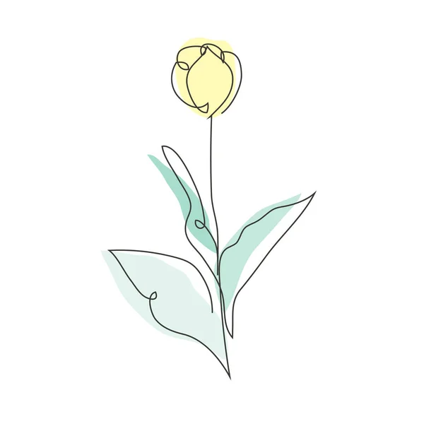 Línea Continua Decorativa Dibujada Mano Tulipán Flor Elemento Diseño Puede — Vector de stock