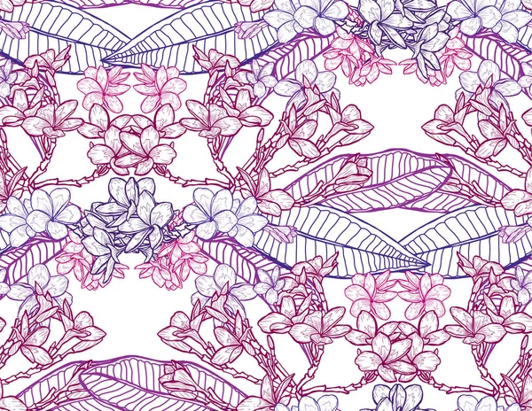 Plumeria Çiçekleri Tasarım Elementleriyle Zarif Pürüzsüz Bir Desen Davetiyeler Kartlar — Stok Vektör