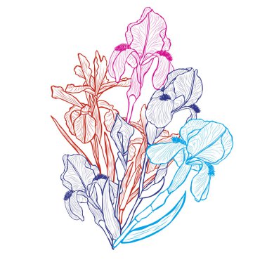 Dekoratif soyut iris çiçekleri, tasarım elementleri. Kartlar, davetiyeler, afişler, posterler, baskı tasarımı için kullanılabilir. Sanat tarzında çiçek arkaplanı