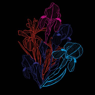 Dekoratif soyut iris çiçekleri, tasarım elementleri. Kartlar, davetiyeler, afişler, posterler, baskı tasarımı için kullanılabilir. Sanat tarzında çiçek arkaplanı