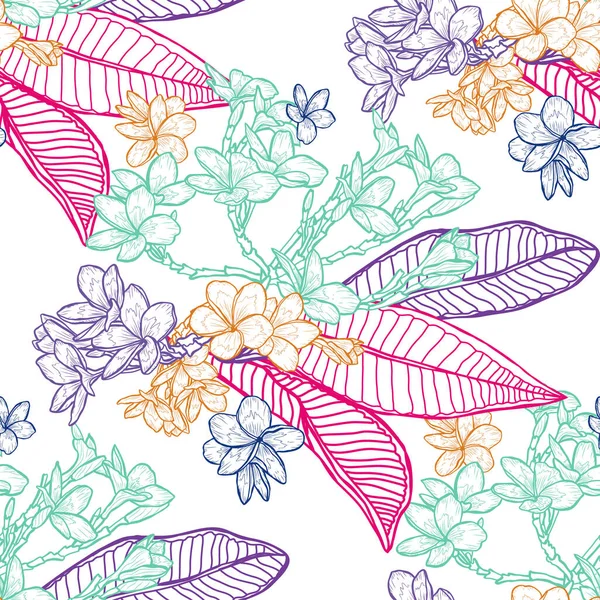 Élégant Motif Sans Couture Avec Des Fleurs Plumeria Des Éléments — Image vectorielle