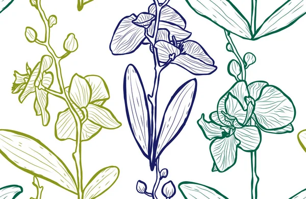 Modèle Élégant Sans Couture Avec Des Fleurs Orchidée Éléments Conception — Image vectorielle