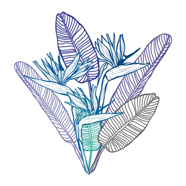 Dekorativa Abstrakta Strelitzia Blommor Designelement Kan Användas För Kort Inbjudningar — Stock vektor