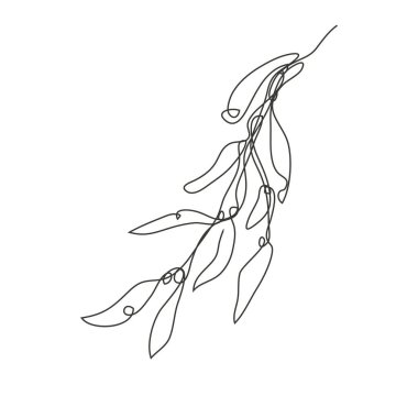 Dekoratif el yapımı ağaç dalları, yaprak, tasarım elementi. Kartlar, davetiyeler, afişler, posterler, baskı tasarımı için kullanılabilir. Aralıksız çizgi sanatı