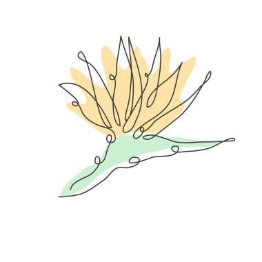 Dekoratif el çizimi strelitzia çiçeği, tasarım elementi. Kartlar, davetiyeler, afişler, posterler, baskı tasarımı için kullanılabilir. Aralıksız çizgi sanatı