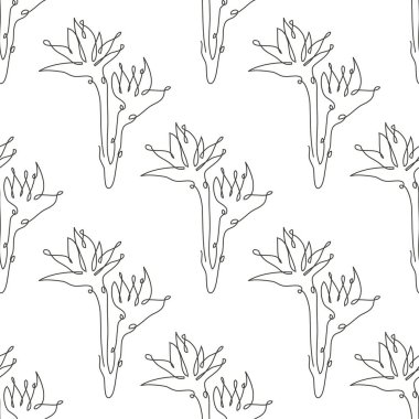 Şık, pürüzsüz desen, strelitzia çiçekleri, tasarım elementleri. Davetiyeler için çiçek deseni, kartlar, baskı, hediye paketi, imalat, tekstil, kumaş, duvar kağıtları. Aralıksız çizgi sanatı