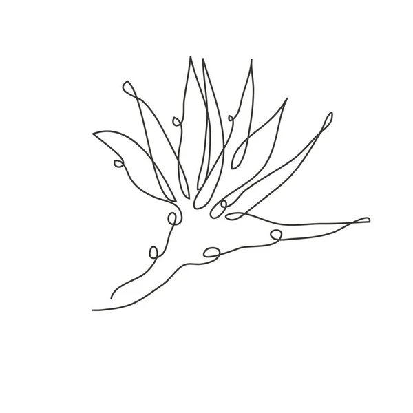 装飾的な手を描いたStrelitziaの花 デザイン要素 カード 招待状 バナー ポスター 印刷デザインに使用できます 連続線画形式 — ストックベクタ