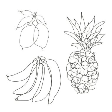 Dekoratif el yapımı meyveler, tasarım elementleri. Kartlar, davetiyeler, afişler, posterler, baskı tasarımı için kullanılabilir. Devamlı çizgi sanatı. Meyve, yemek teması