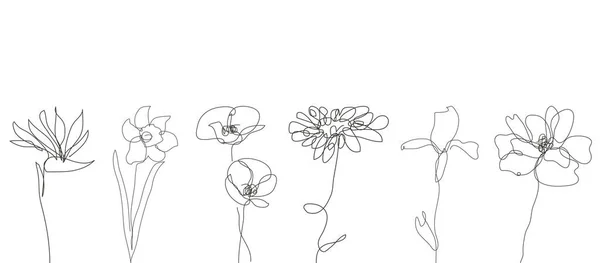 Dekoratív Kézzel Rajzolt Virág Készlet Design Elemek Használható Kártyákhoz Meghívókhoz — Stock Vector