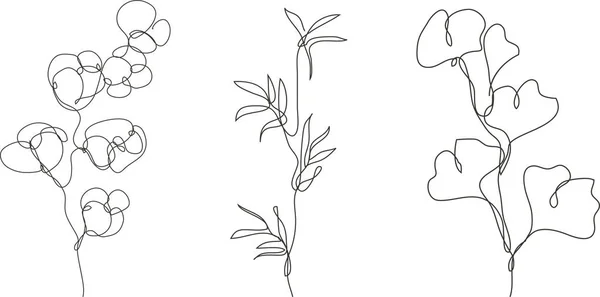 Decoratieve Hand Getekend Gingko Katoen Bamboe Design Elementen Kan Gebruikt — Stockvector