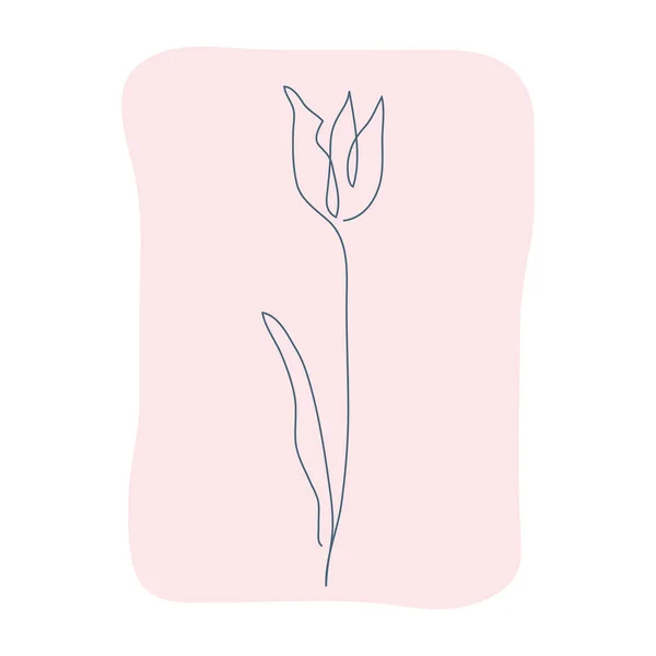 装饰手绘郁金香花 设计元素 可用于卡片 邀请函 平面设计 连续线条艺术风格 — 图库矢量图片