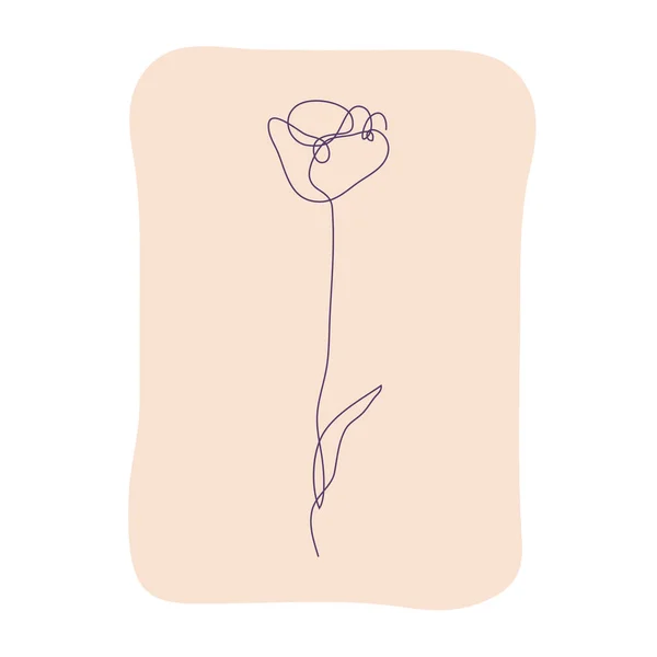装饰手绘郁金香花 设计元素 可用于卡片 邀请函 平面设计 连续线条艺术风格 — 图库矢量图片