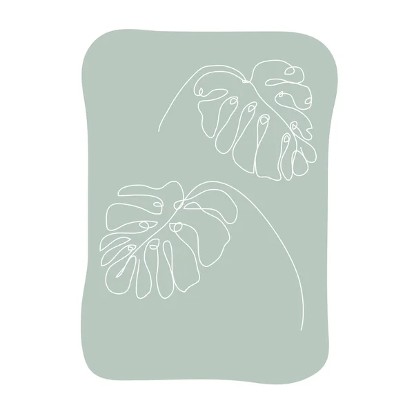 Decoratieve Hand Getrokken Monstera Bladeren Design Element Kan Gebruikt Worden — Stockvector