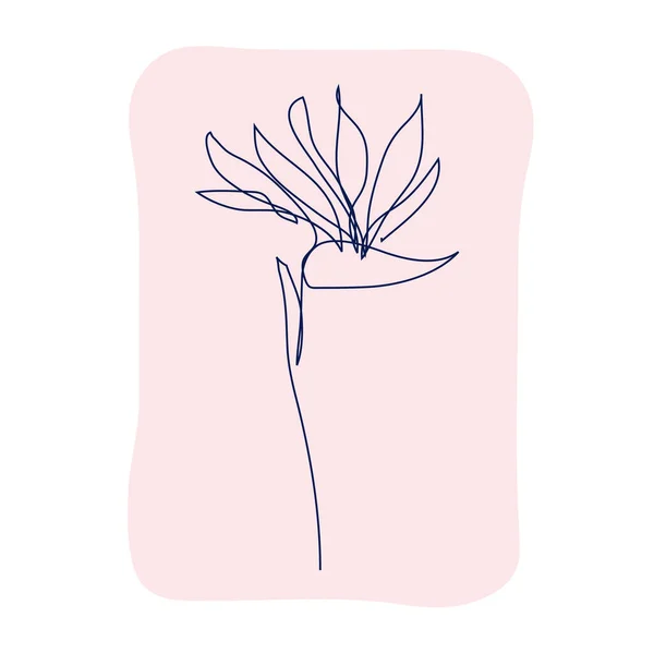 Διακοσμητικό Χειροποίητο Λουλούδι Στρελίτσια Σχεδιαστικό Στοιχείο Μπορεί Χρησιμοποιηθεί Για Κάρτες — Διανυσματικό Αρχείο