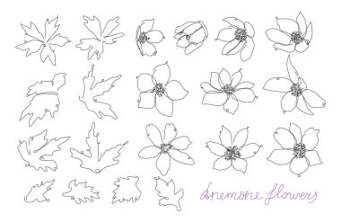 Dekoratif el çizimi şakayık çiçekleri seti, tasarım elementleri. Kartlar, davetiyeler, afişler, posterler, baskı tasarımı için kullanılabilir. Aralıksız çizgi sanatı