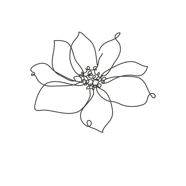 Dekoratif el çizimi şakayık çiçeği, tasarım elementi. Kartlar, davetiyeler, afişler, posterler, baskı tasarımı için kullanılabilir. Aralıksız çizgi sanatı