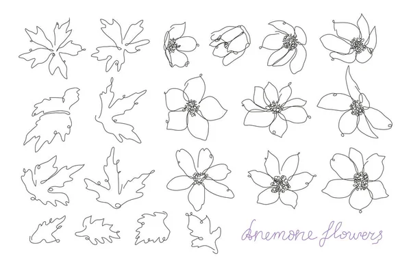 Conjunto Decorativo Flores Anémonas Dibujadas Mano Elementos Diseño Puede Utilizar — Vector de stock