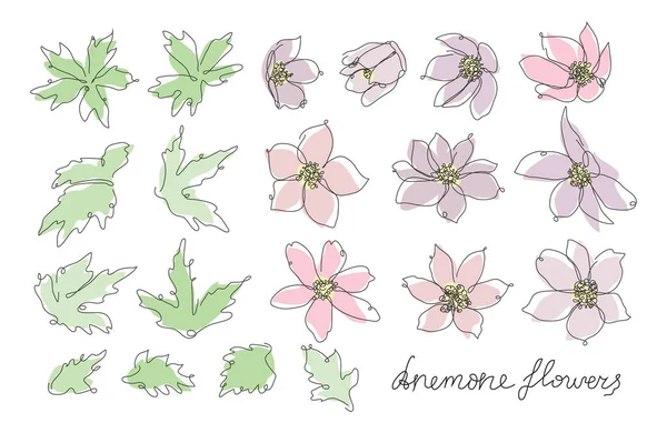 Conjunto Decorativo Flores Anémonas Dibujadas Mano Elementos Diseño Puede Utilizar — Vector de stock