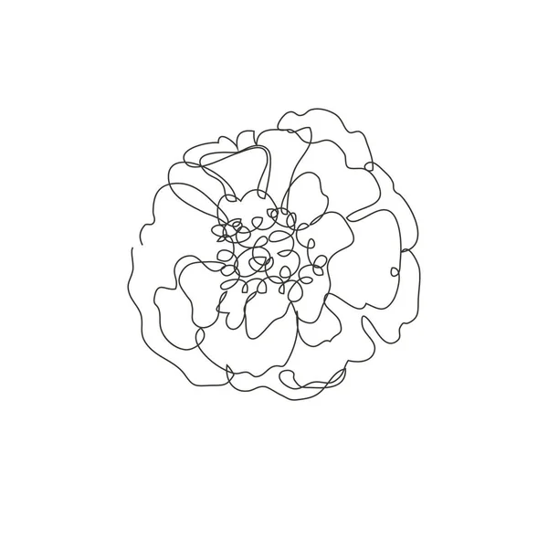 Декоративна Рука Намальована Квітка Чорнобривця Елемент Дизайну Може Використовуватися Карт — стоковий вектор