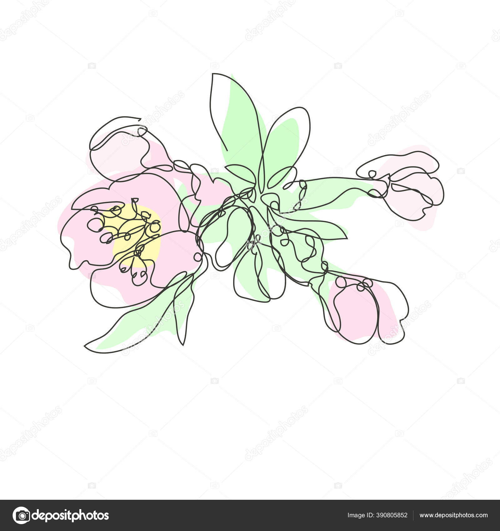 Dekoratif Tangan Digambar Bunga Sakura Ceri Mekar Elemen Desain Dapat Stok Vektor C Chantall 390805852
