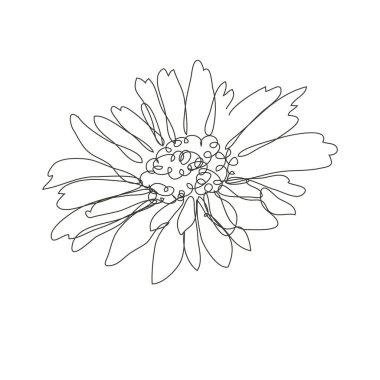 Dekoratif el çizimi papatya çiçeği, tasarım elementi. Kartlar, davetiyeler, afişler, posterler, baskı tasarımı için kullanılabilir. Aralıksız çizgi sanatı