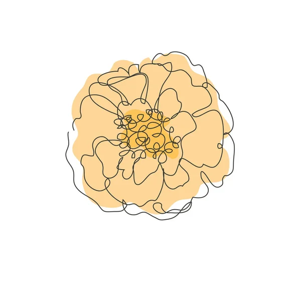 Διακοσμητικό Χέρι Που Marigold Λουλούδι Στοιχείο Σχεδιασμού Μπορεί Χρησιμοποιηθεί Για — Διανυσματικό Αρχείο