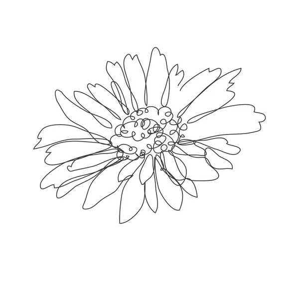 Διακοσμητικό Χειροποίητο Λουλούδι Χαμομηλιού Σχεδιαστικό Στοιχείο Μπορεί Χρησιμοποιηθεί Για Κάρτες — Διανυσματικό Αρχείο