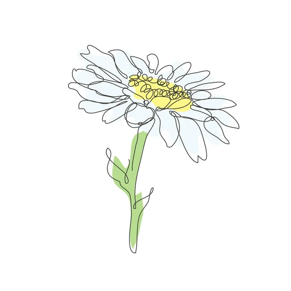 Διακοσμητικό Χειροποίητο Λουλούδι Χαμομηλιού Σχεδιαστικό Στοιχείο Μπορεί Χρησιμοποιηθεί Για Κάρτες — Διανυσματικό Αρχείο