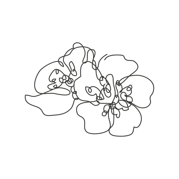 装飾的な手の桜の桜の花 デザイン要素を描いた カード 招待状 バナー ポスター 印刷デザインに使用できます 連続線画形式 — ストックベクタ