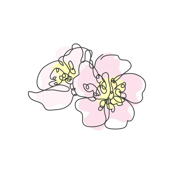 Decorative Hand Drawn Cherry Blossom Sakura Flowers Design Element Can — Stock Vector