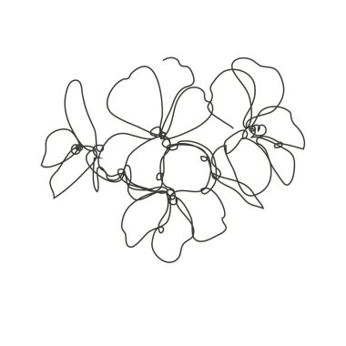 Dekoratif el çizimi sardunya çiçeği, tasarım elementi. Kartlar, davetiyeler, afişler, posterler, baskı tasarımı için kullanılabilir. Aralıksız çizgi sanatı