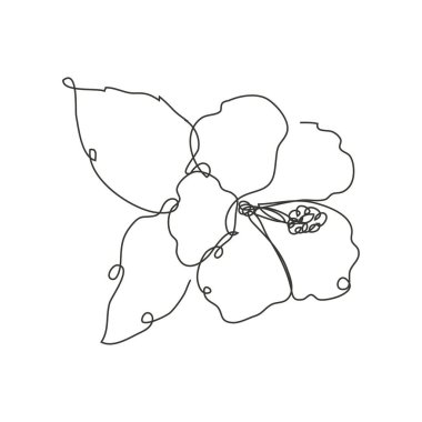 Dekoratif el çizimi amber çiçeği, tasarım elementi. Kartlar, davetiyeler, afişler, posterler, baskı tasarımı için kullanılabilir. Aralıksız çizgi sanatı