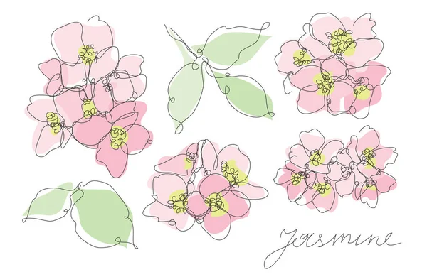Διακοσμητικά Χειροποίητα Λουλούδια Γιασεμί Σετ Στοιχεία Σχεδιασμού Μπορεί Χρησιμοποιηθεί Για — Διανυσματικό Αρχείο